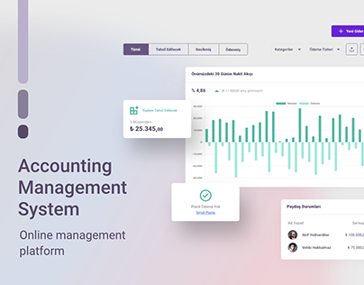 Online Accounting Management Platform