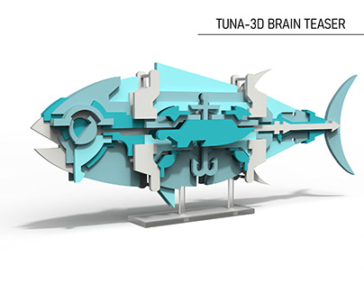 Tuna-3D Brain teaser