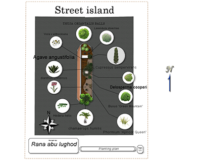 street island planting plan