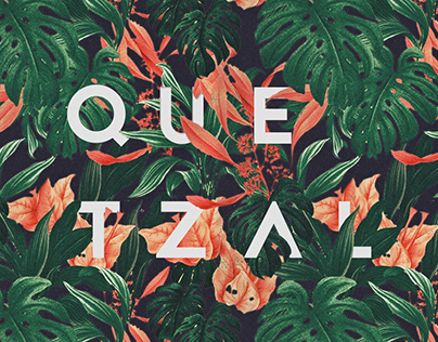 QUETZAL Création – Branding & web design