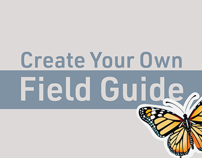 Create Your Own Field Guide