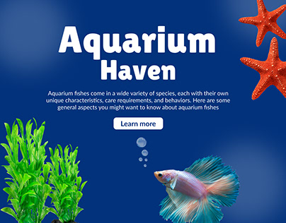 Aquarium haven