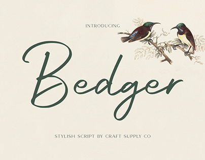 Bedger – Stylish Script Font | Free Download