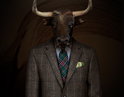 Gentleman Bull | Senhor Toiro