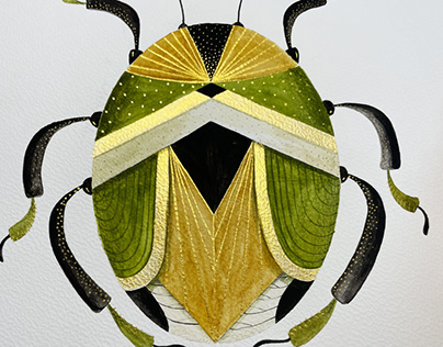 Bugs watercolor