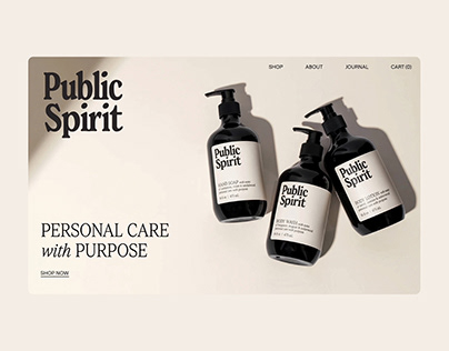 Public Spirit Website