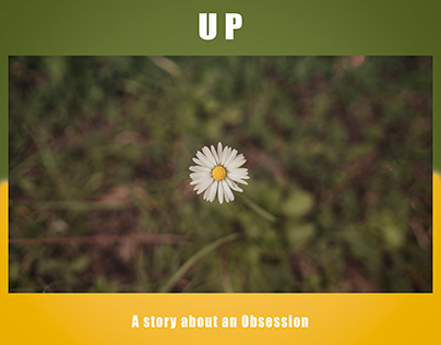 Up - A story about an obsession