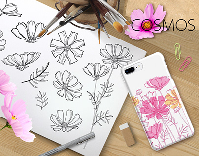 Line art Cosmos or Cosmea flowers. Summer coloring.