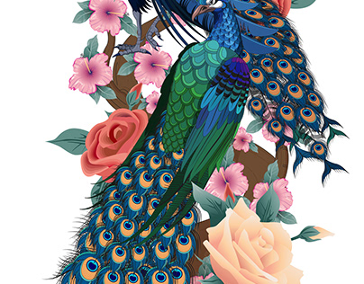 Peacock Vector art
