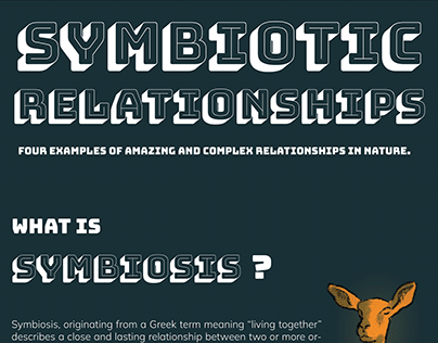 Symbiotic Relationships Infographic