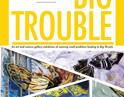 Small Problems, Big Trouble-Catalog Cover