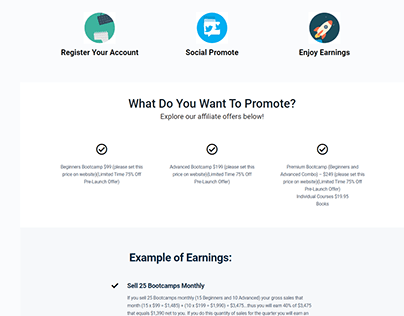 Affiliate Opportunity Landing page WordPress