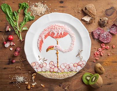 A Tribute to Budgie - Food Illustration
