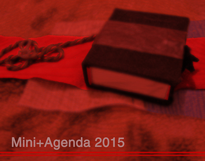 Project thumbnail - Mini+Agenda 2015
