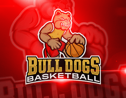 Sports Basketball Mascot/Character Logo