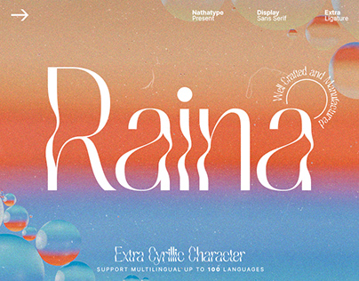 Raina - Display Sans Serif Font