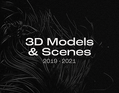 3D Models & Scenes