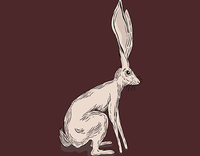 Hare illustrations for Flora Animalia's tea towel