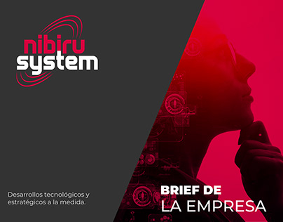 Brief Nibiru System