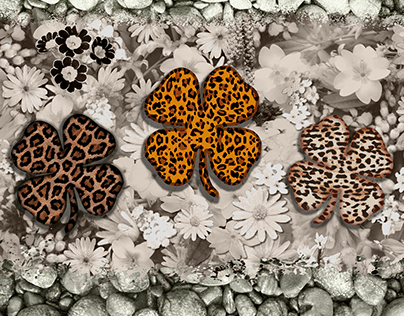 clovers leopard