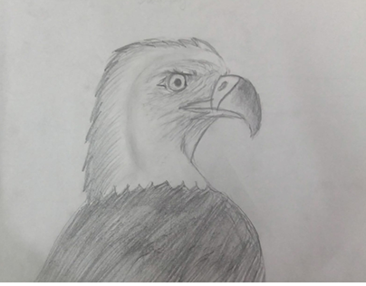 "Guardian of the Skies: An Eagle's Portrait"