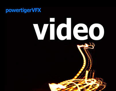 powertigerVFX Videography - a bird in the rain Full HD