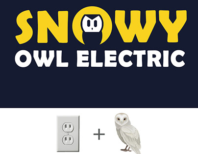 Snowy Owl Electric