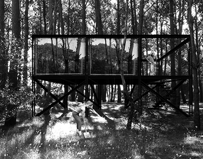 Casa del Árbol en los bosques de Pinamar