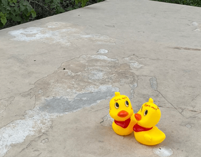 LUCKY DUCKLINGS - AUD CAMPAIGN