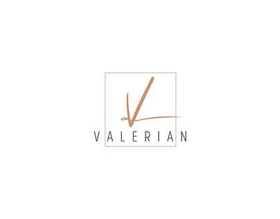 Valerian Animation