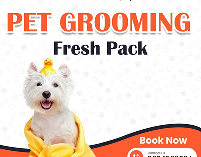 Best Pet Grooming Service Provider in Model Town