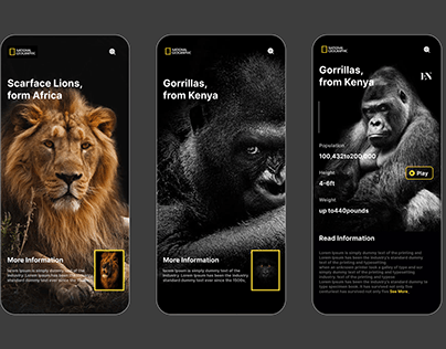 Project thumbnail - National Geographic Apps design