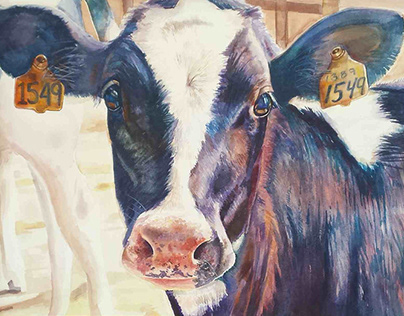 Watercolor Cow Painting