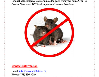 Rat Control Vancouver BC