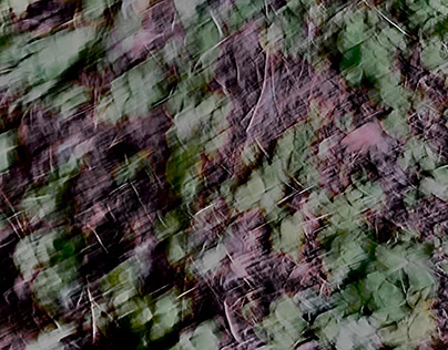 Distorted (Null); Experimenting with Clovers;