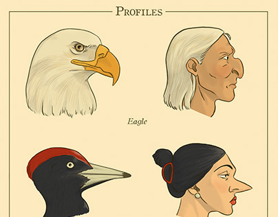 Profiles / Beaks and Noses
