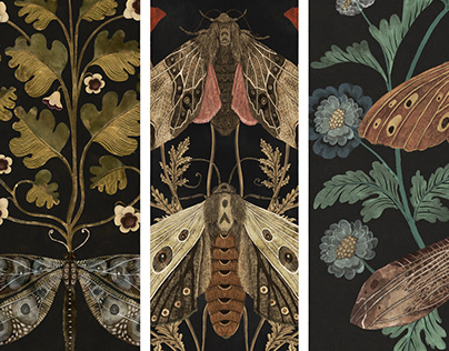 Moths & dragonfly illustrations