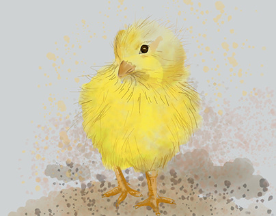 22-04-16-fluffy chick-01