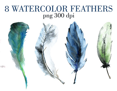 watercolor feathers