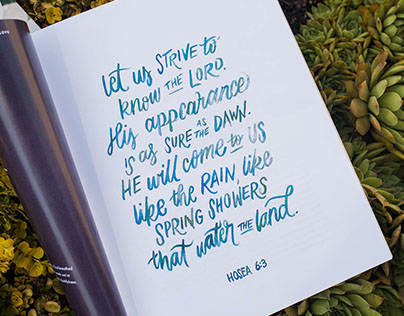 Hosea Lettering and Illustration - She Reads Truth