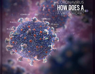 How Does a Virus Work?