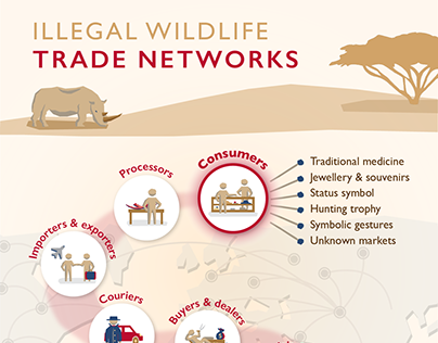 Illegal Wildlife Trade Networks | infographic