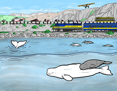 Beluga Whale Illustration for Children's Activity Book