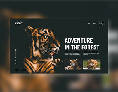 Wildlife Website UI Design