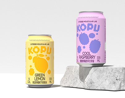 kombucha drink Package Design