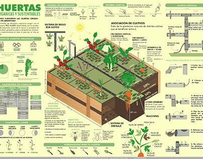 Infografia Huerta Organica