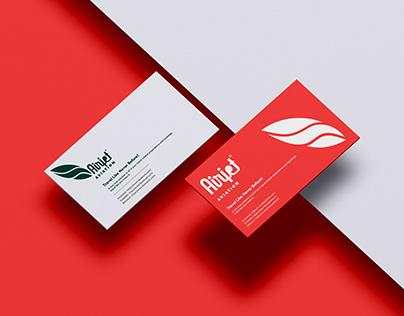 Project thumbnail - Logo+Business Card: Airjet Aviation