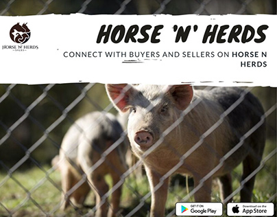 Horse N Herds - Livestock Buying & Selling App