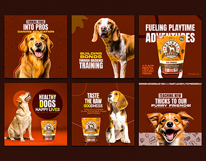 Pet Food Banner | Dogs Food Post | Social Media Post