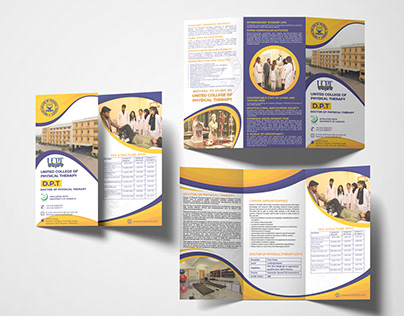 tri fold brochure & Prospectus Design
